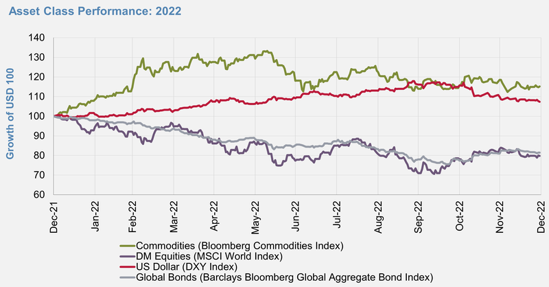 Asset Class Performance: 2022